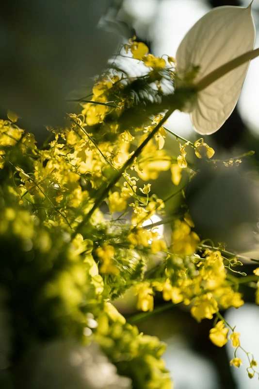 A Buttery Yellow Wedding for Laine and Rehn