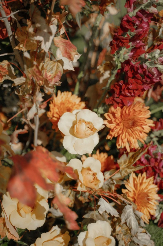 An Autumn Wedding for Rachel and Cole